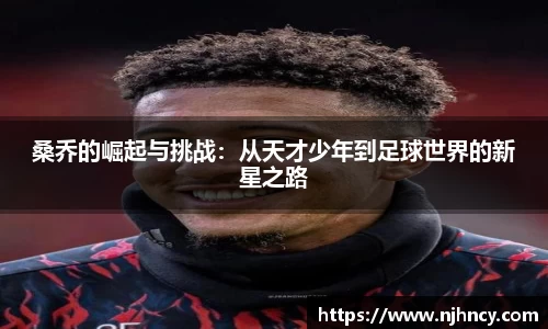DG视讯